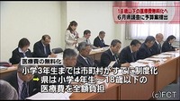 子ども医療無料化１０月から 福島県が正式決定