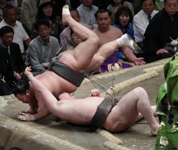 大相撲夏場所:稀勢の里、冷静に大関対決制す…９日目