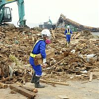 がれき選別 石巻で公開、受け入れ検討の北九州市