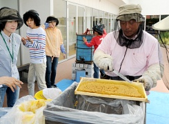 天文館蜂蜜、品質上々 ８月販売へ