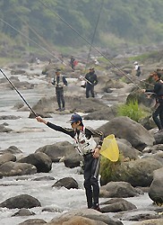 思川でアユ釣り解禁