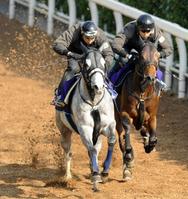 ２冠目狙うゴールドシップ＝３歳馬の頂点懸け日本ダービー－競馬