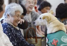 セラピードッグ:福島県相馬市の仮設住宅で住民と交流