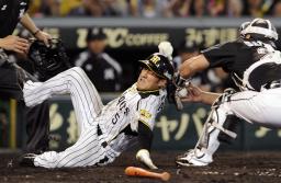 鳥谷、３安打４打点！最大６点差追いついた