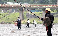 アユ釣り解禁 セシウム、微量か不検出