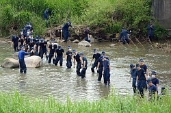 川からナイフ、供述に基づき発見 岐阜・幼稚園教諭殺害