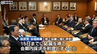 自民・公明両党“消費増税”修正協議へ（東京都）