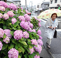 梅雨入り:東海から九州北部で 関東は今年初の真夏日