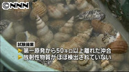 相馬双葉漁協試験操業 １年３カ月ぶり