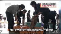 相双漁協試験操業 検査結果が明らかに（福島県）