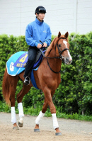 オルフェーヴルは６枠１１番…宝塚記念 枠順確定