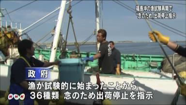 福島沖３６魚種を出荷停止＝漁再開で規制－政府