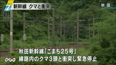 「こまち」がクマ３頭はねる 秋田市河辺、乗客にけがなし