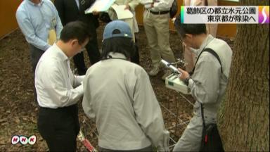 除染:都立水元公園を実施へ 高線量を測定