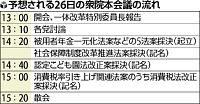 小沢新党、処分見極め判断…一体改革きょう採決