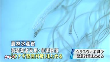 水産庁がウナギ緊急対策 養殖業者の資金支援や稚魚育成など