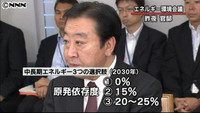 政府、将来の原発依存度で３つの選択肢示す（東京都）