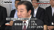 政府エネ・環境会議 原発比率０～２５％の３案決定 ８月中に戦略