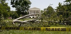 米東部:暴風雨で死者１３人 ３００万世帯以上が停電