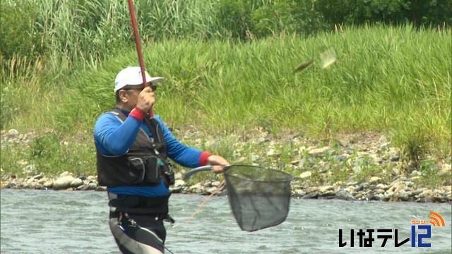 太公望お待ちかね アユ釣り解禁