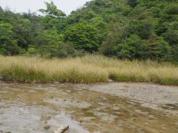 荒尾干潟など９カ所登録＝湿地保全のラムサール条約